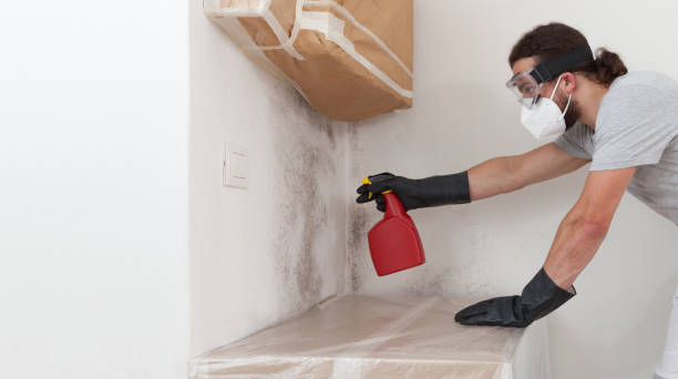 Professional Mold Removal technician working in Medford, NY