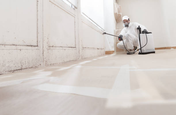24/7 Emergency Mold Removal experts in Medford, NY